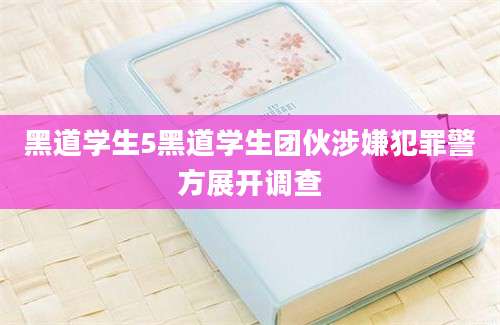 黑道学生5黑道学生团伙涉嫌犯罪警方展开调查