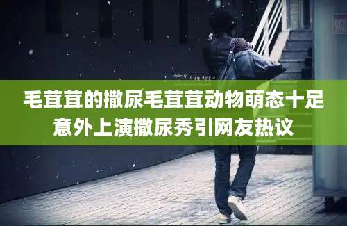 毛茸茸的撒尿毛茸茸动物萌态十足意外上演撒尿秀引网友热议