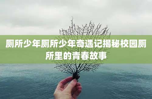厕所少年厕所少年奇遇记揭秘校园厕所里的青春故事