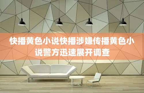 快播黄色小说快播涉嫌传播黄色小说警方迅速展开调查
