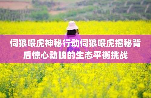 伺狼喂虎神秘行动伺狼喂虎揭秘背后惊心动魄的生态平衡挑战