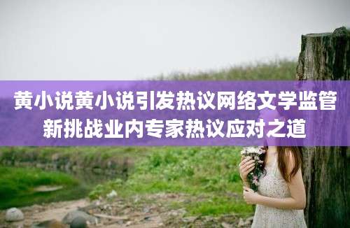 黄小说黄小说引发热议网络文学监管新挑战业内专家热议应对之道