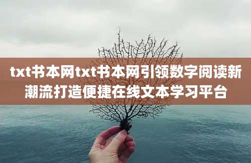 txt书本网txt书本网引领数字阅读新潮流打造便捷在线文本学习平台