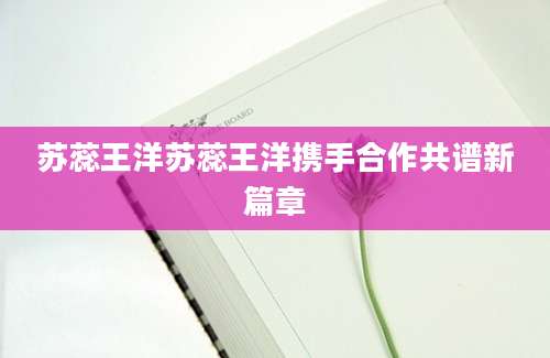 苏蕊王洋苏蕊王洋携手合作共谱新篇章