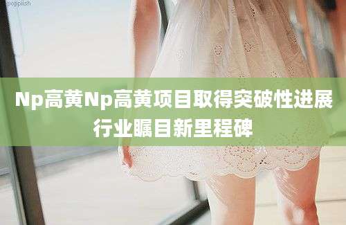 Np高黄Np高黄项目取得突破性进展行业瞩目新里程碑