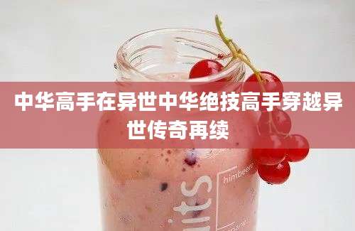 中华高手在异世中华绝技高手穿越异世传奇再续