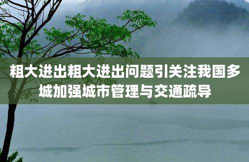 粗大进出粗大进出问题引关注我国多城加强城市管理与交通疏导