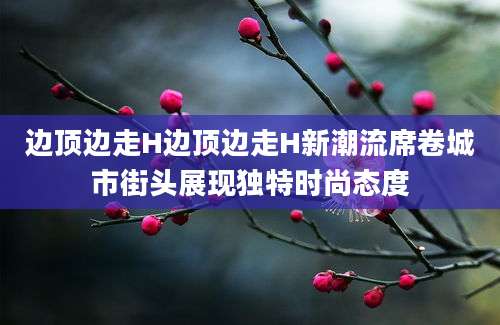 边顶边走H边顶边走H新潮流席卷城市街头展现独特时尚态度