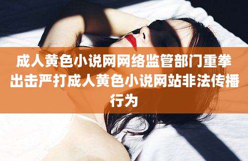 成人黄色小说网网络监管部门重拳出击严打成人黄色小说网站非法传播行为