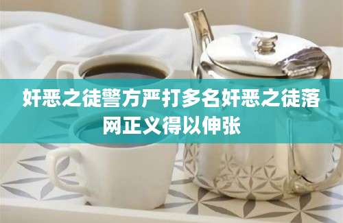 奸恶之徒警方严打多名奸恶之徒落网正义得以伸张