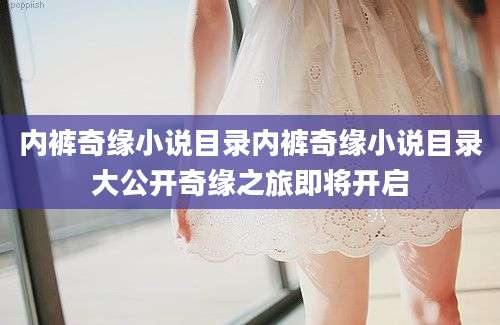 内裤奇缘小说目录内裤奇缘小说目录大公开奇缘之旅即将开启