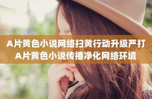 A片黄色小说网络扫黄行动升级严打A片黄色小说传播净化网络环境