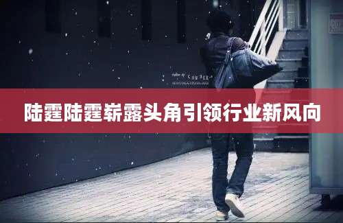 陆霆陆霆崭露头角引领行业新风向