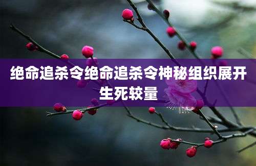 绝命追杀令绝命追杀令神秘组织展开生死较量