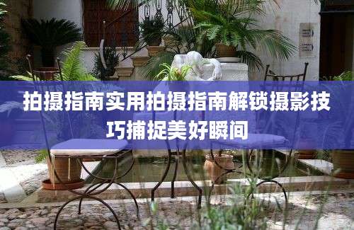 拍摄指南实用拍摄指南解锁摄影技巧捕捉美好瞬间