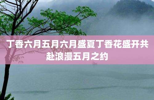 丁香六月五月六月盛夏丁香花盛开共赴浪漫五月之约