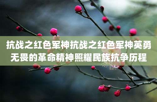 抗战之红色军神抗战之红色军神英勇无畏的革命精神照耀民族抗争历程