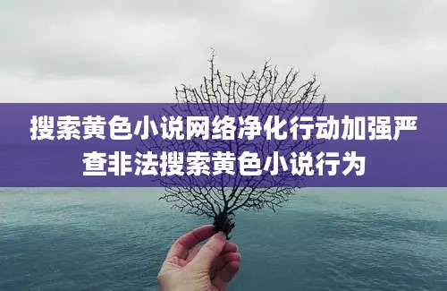 搜索黄色小说网络净化行动加强严查非法搜索黄色小说行为