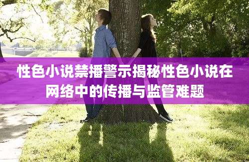 性色小说禁播警示揭秘性色小说在网络中的传播与监管难题