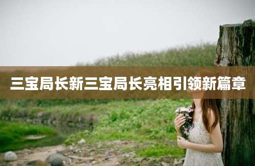 三宝局长新三宝局长亮相引领新篇章