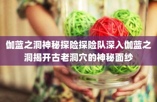 伽蓝之洞神秘探险探险队深入伽蓝之洞揭开古老洞穴的神秘面纱