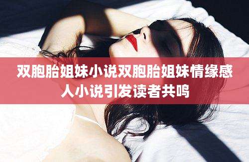 双胞胎姐妹小说双胞胎姐妹情缘感人小说引发读者共鸣