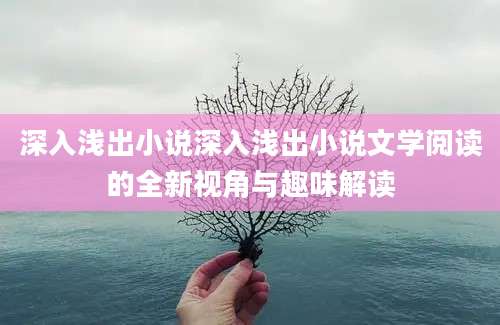 深入浅出小说深入浅出小说文学阅读的全新视角与趣味解读