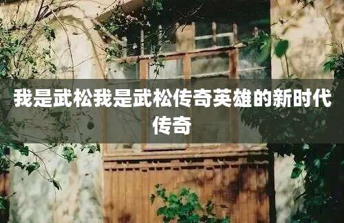我是武松我是武松传奇英雄的新时代传奇