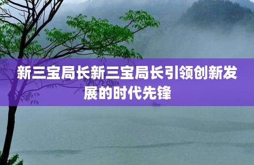 新三宝局长新三宝局长引领创新发展的时代先锋