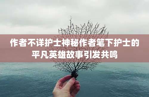 作者不详护士神秘作者笔下护士的平凡英雄故事引发共鸣