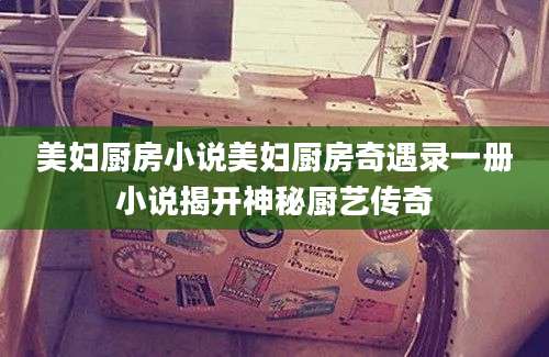 美妇厨房小说美妇厨房奇遇录一册小说揭开神秘厨艺传奇