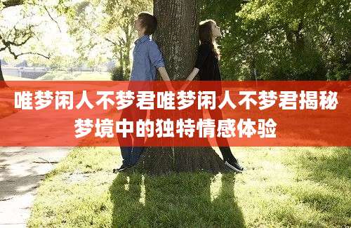 唯梦闲人不梦君唯梦闲人不梦君揭秘梦境中的独特情感体验