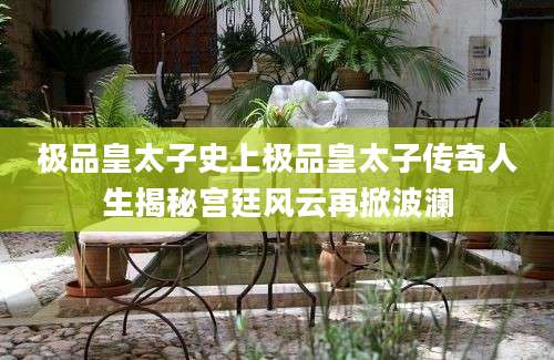 极品皇太子史上极品皇太子传奇人生揭秘宫廷风云再掀波澜
