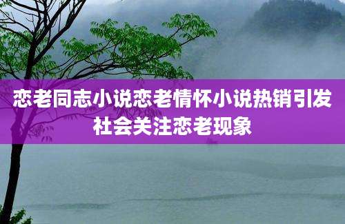 恋老同志小说恋老情怀小说热销引发社会关注恋老现象