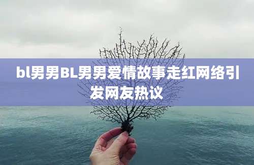 bl男男BL男男爱情故事走红网络引发网友热议
