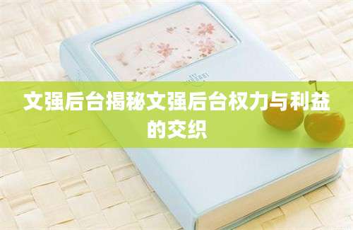 文强后台揭秘文强后台权力与利益的交织