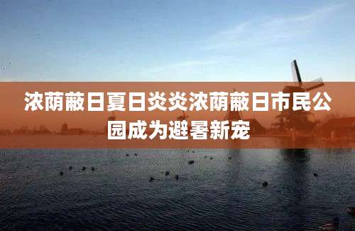 浓荫蔽日夏日炎炎浓荫蔽日市民公园成为避暑新宠