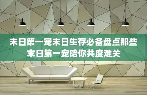 末日第一宠末日生存必备盘点那些末日第一宠陪你共度难关