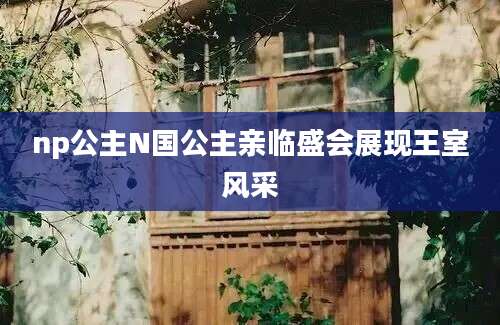 np公主N国公主亲临盛会展现王室风采