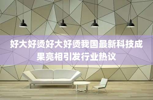 好大好烫好大好烫我国最新科技成果亮相引发行业热议