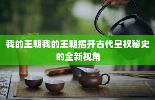 我的王朝我的王朝揭开古代皇权秘史的全新视角