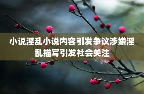 小说淫乱小说内容引发争议涉嫌淫乱描写引发社会关注