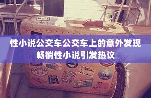 性小说公交车公交车上的意外发现畅销性小说引发热议