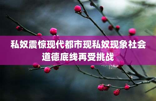 私奴震惊现代都市现私奴现象社会道德底线再受挑战