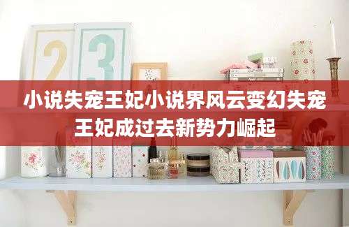 小说失宠王妃小说界风云变幻失宠王妃成过去新势力崛起