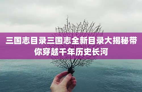 三国志目录三国志全新目录大揭秘带你穿越千年历史长河