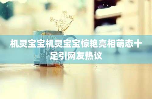 机灵宝宝机灵宝宝惊艳亮相萌态十足引网友热议
