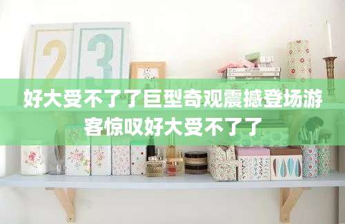 好大受不了了巨型奇观震撼登场游客惊叹好大受不了了