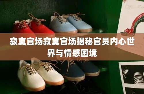 寂寞官场寂寞官场揭秘官员内心世界与情感困境