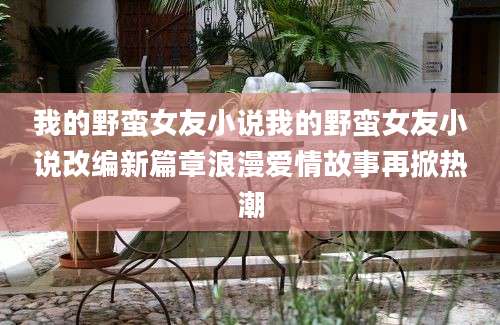 我的野蛮女友小说我的野蛮女友小说改编新篇章浪漫爱情故事再掀热潮